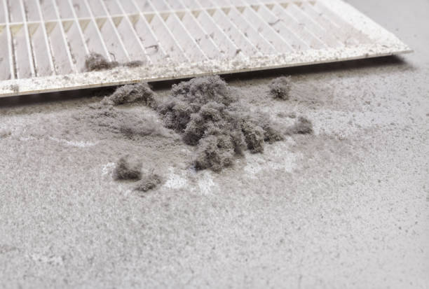 Best Affordable Duct Cleaning Services  in Del Rey, CA