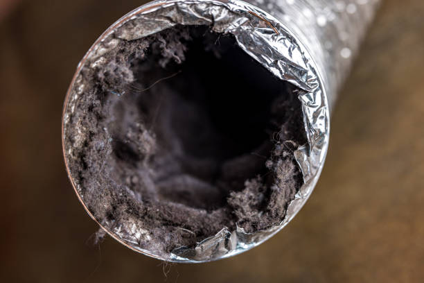 Best Home Air Vent Cleaning  in Del Rey, CA