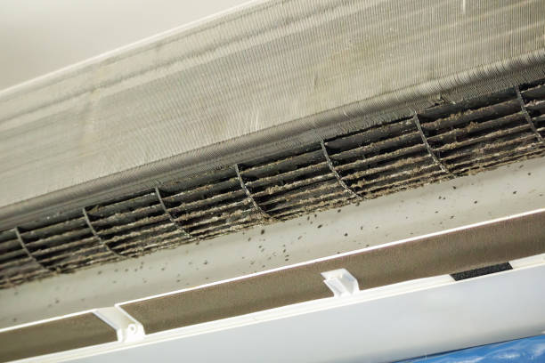 Best Air Vent Cleaning Services  in Del Rey, CA