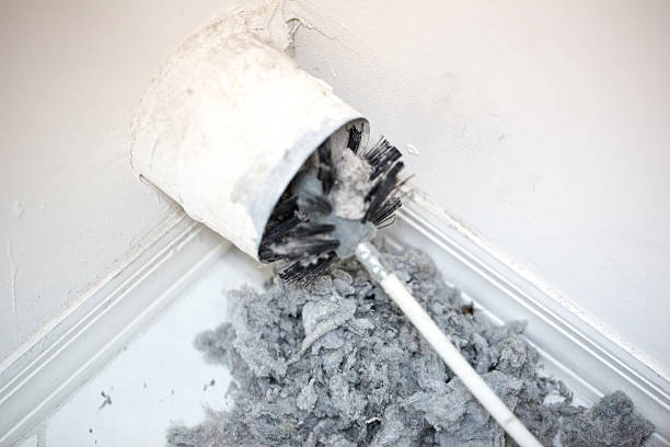 Best Local Air Duct Cleaning Services  in Del Rey, CA